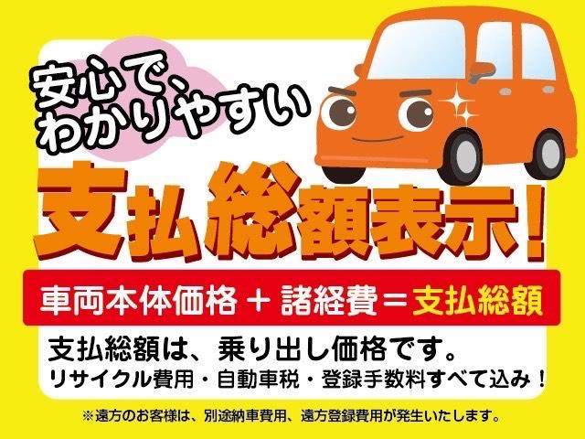 E FOUR 4WD シートヒーター付き オートエアコン フルセグTV DVD CD(8枚目)