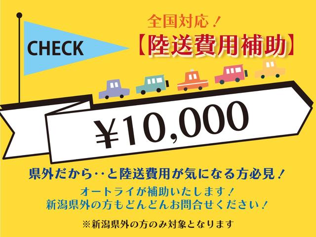 ＴＸ　ＥＴＣ　４ＷＤ　キーレスエントリー　　フルフラット　ＡＷ１７インチ　盗難防止システム　衝突安全ボディ　ガソリン車　ＡＢＳ(66枚目)