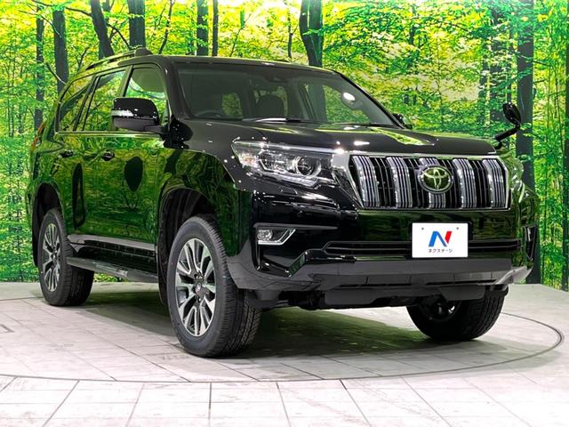 TX Lパッケージ ムーンルーフ 登録済未使用車 セーフティセンス パーキングセンサー ルーフレール 純正OP19インチアルミ 黒革シート シートベンチレーション LEDヘッド LEDフォグ パワーシート(18枚目)