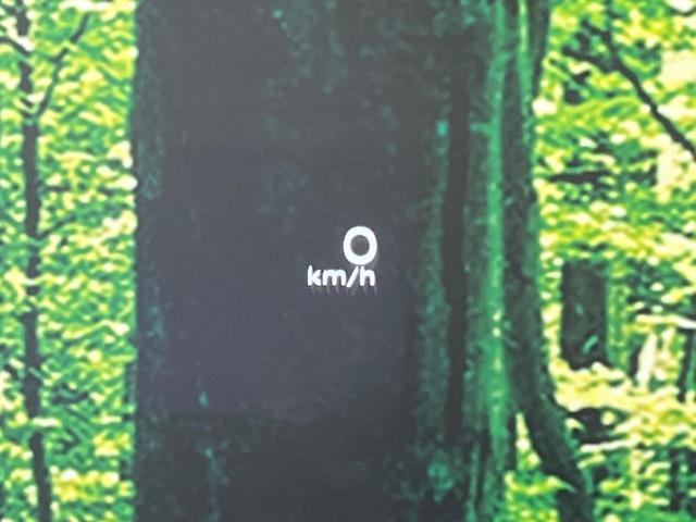 エクストレイル G e-4ORCE 4WD 純正12.3型ナビ 全周囲カメラ 衝突被害軽減システム レーダークルーズ 禁煙車 電動リアゲート レザーシート コーナーセンサー スマートキー LEDヘッド ETC2.0 オートハイビーム(49枚目)