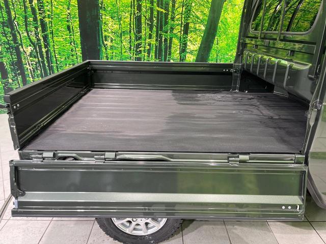 スーパーキャリイ Ｘ　４ＷＤ　ＭＴ車　衝突被害軽減システム　禁煙車　ＬＥＤヘッド　車線逸脱警報　オートライト　ＣＤ（24枚目）