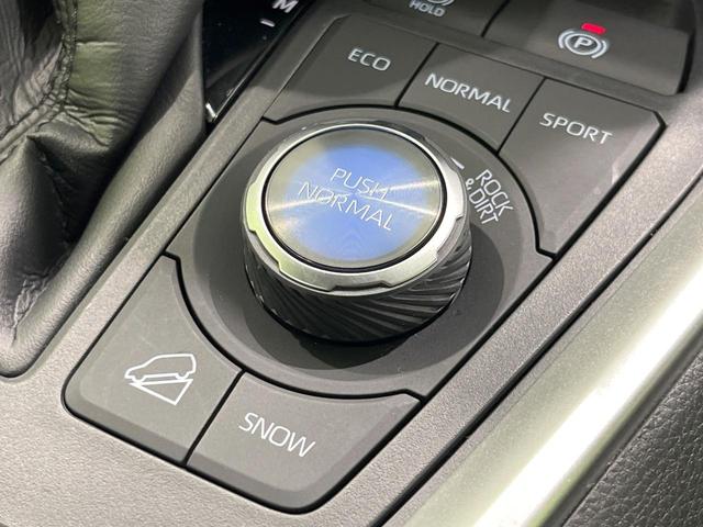 RAV4 アドベンチャー オフロードパッケージII 4WD 純正10.5型ディスプレイオーディオ バックカメラ 衝突被害軽減システム レーダークルーズ レザー調シート 禁煙車 LEDヘッド ETC2.0 純正18インチアルミ ステアリングヒーター(69枚目)
