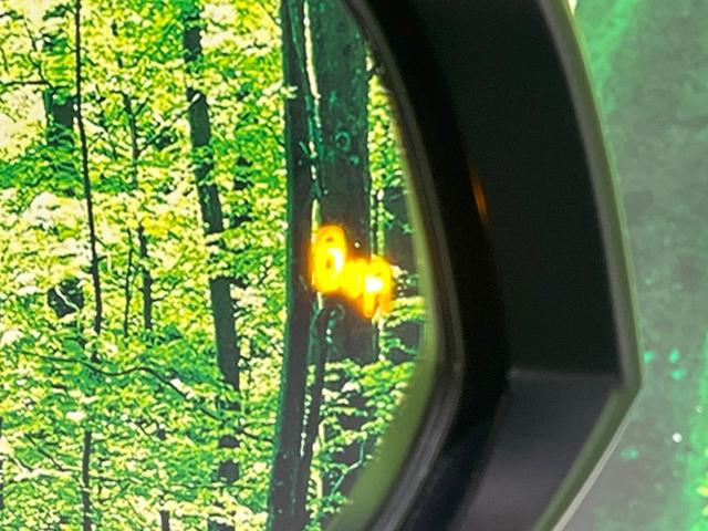 ヴェルファイアハイブリッド ＺＲ　Ｇエディション　４ＷＤ　ムーンルーフ　両側電動スライド　後席モニター　純正１０型ナビ　バックカメラ　１００Ｖ電源　衝突被害軽減システム　レーダークルーズ　禁煙車　電動リアゲート　黒革シート　シートベンチレーション（69枚目）