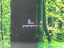 ͥ6