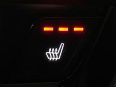 �ڥ����ȥҡ������۴������˽������륷���ȥҡ������������������᤯���ޤäƤ����ΤǴ�����οͤ�¿��Ǥ��͢���������β����ϴ��礹�뤫���ꡢ�Ȥ������ˤ�򤪤�����Ǥ��� 6