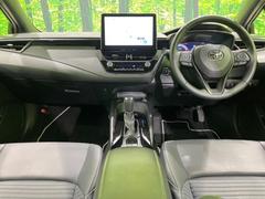 ���롼�����߸˿��󣳣����������桪������η���Ź����᡼�������ּ���鷺���Ҳ�����Τǡ����ʤ��˥ԥå���Τ��֤����Ĥ���Ϥ��Ǥ����ޤ��Ϥ��䤤��碌�������� 2