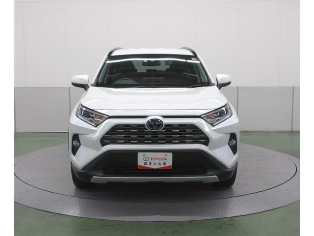 ＲＡＶ４ ハイブリッドＧ　４ＷＤ　フルセグ　メモリーナビ　バックカメラ　衝突被害軽減システム　ＥＴＣ　ＬＥＤヘッドランプ　記録簿（35枚目）