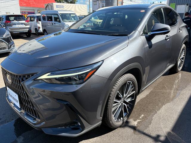 ＮＸ ＮＸ３５０ｈ　バージョンＬ　電動Ｒゲート　ＬＥＤライト　本革　Ｐシート　ＡＣ１００Ｖ　ＥＴＣ　プリクラッシュセーフティ　ＡＷＤ　スマートキー　シートヒーター　オートマチックハイビーム　メモリーナビ　ナビ　シートクーラー（7枚目）