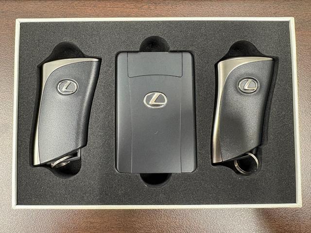 ＮＸ ＮＸ３５０ｈ　バージョンＬ　電動Ｒゲート　ＬＥＤライト　本革　Ｐシート　ＡＣ１００Ｖ　ＥＴＣ　プリクラッシュセーフティ　ＡＷＤ　スマートキー　シートヒーター　オートマチックハイビーム　メモリーナビ　ナビ　シートクーラー（50枚目）