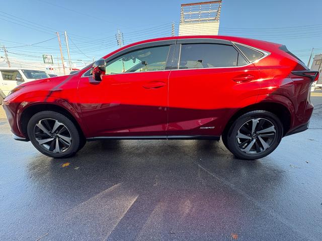 NX NX300h スパイス&シック 4WD パワーシート パワーバックドア コーナーセンサー シートヒーター 衝突軽減B LDA(6枚目)