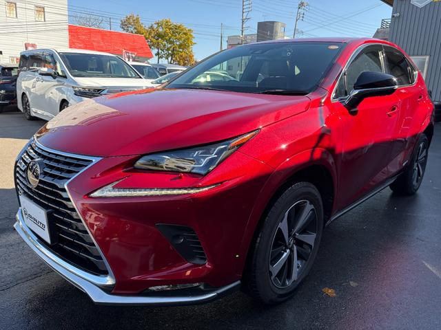 NX NX300h スパイス&シック 4WD パワーシート パワーバックドア コーナーセンサー シートヒーター 衝突軽減B LDA(7枚目)