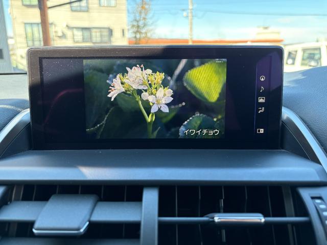 NX NX300h スパイス&シック 4WD パワーシート パワーバックドア コーナーセンサー シートヒーター 衝突軽減B LDA(24枚目)