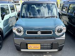 ������١��¼֤�������������� 3