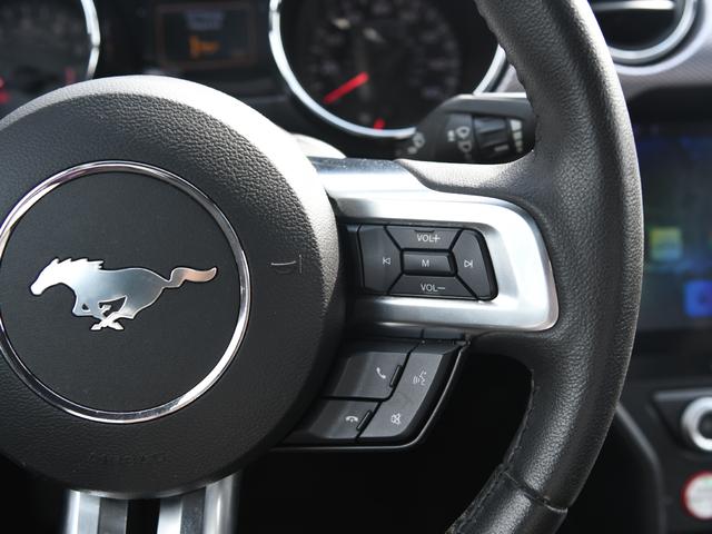 マスタング 　エコブースト　６Ｍ／Ｔ（24枚目）
