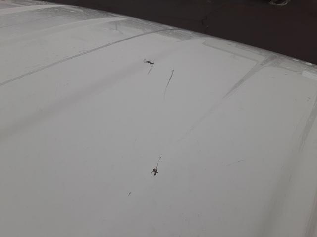 ハイゼットトラック スタンダード　４ＷＤ　４速オートマチック　エアコン　パワステ　ＡＭＦＭラジオ　運転席エアバッグ　ドアバイザー　ライトレベライザー　車検整備付　走行１２９２８ｋｍ（53枚目）