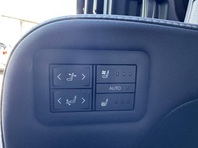 アルファード Ｚ　ワンオーナー　禁煙車　ムーンルーフ　ユニバーサルステップ　デジタルインナーミラー（22枚目）