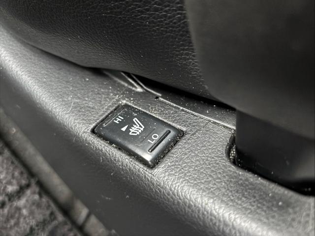 エルグランド 250ハイウェイSブラックレザーアーバンセレ 4WD ナビ ETC 前席シートヒーター Bカメラ パワーシート 両側電動スライド スマートキー 皮シート(24枚目)