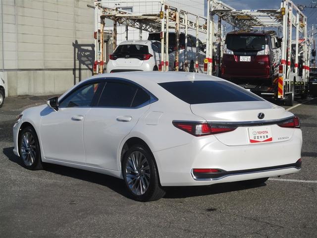 ES ES300h バージョンL 革シート サンルーフ フルセグ メモリーナビ ミュージックプレイヤー接続可 バックカメラ 衝突被害軽減システム ETC LEDヘッドランプ ワンオーナー アイドリングストップ(17枚目)