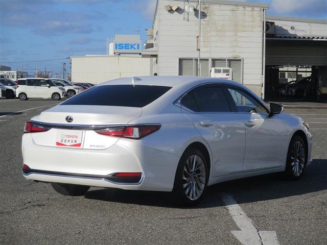 ES ES300h バージョンL 革シート サンルーフ フルセグ メモリーナビ ミュージックプレイヤー接続可 バックカメラ 衝突被害軽減システム ETC LEDヘッドランプ ワンオーナー アイドリングストップ(19枚目)