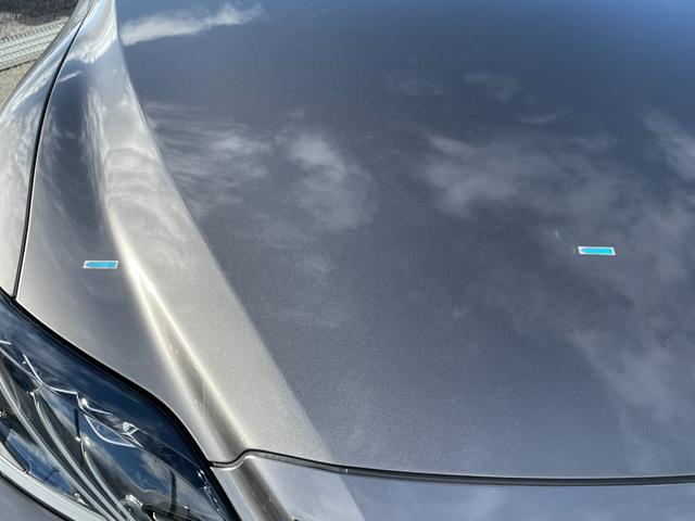 ＬＳ ＬＳ５００　バージョンＬ（19枚目）