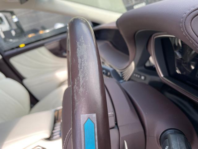 ＬＳ ＬＳ５００　バージョンＬ（20枚目）