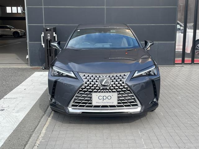 ＵＸ ＵＸ２５０ｈ　グレイスフル　エクスプローラー（2枚目）