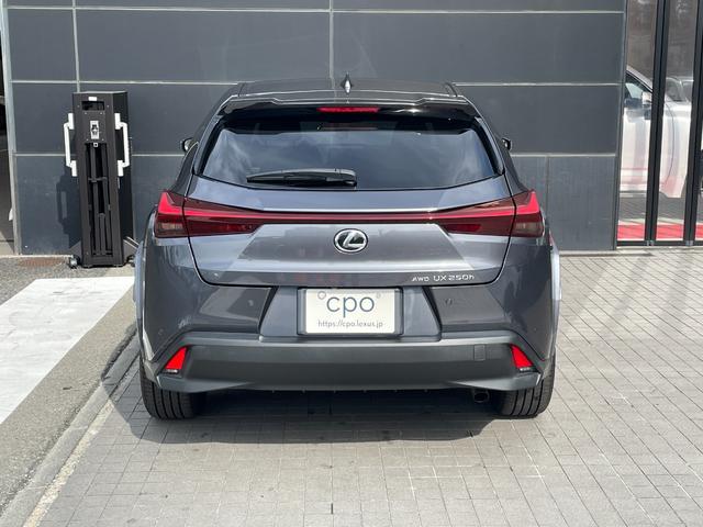 ＵＸ ＵＸ２５０ｈ　グレイスフル　エクスプローラー（3枚目）