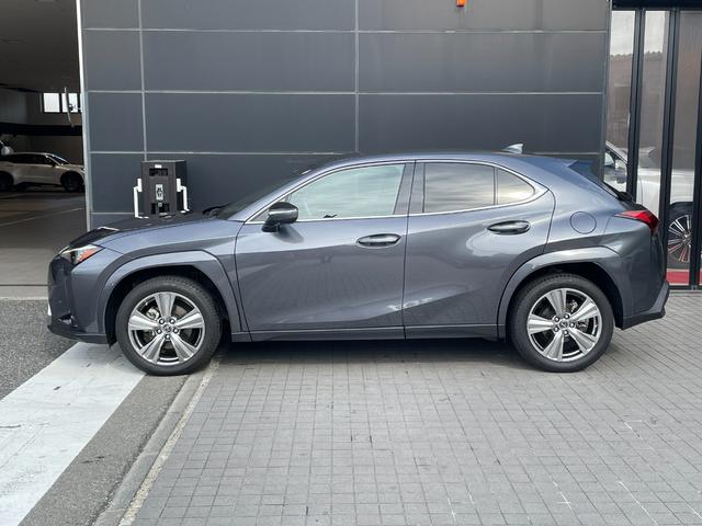 ＵＸ ＵＸ２５０ｈ　グレイスフル　エクスプローラー（5枚目）