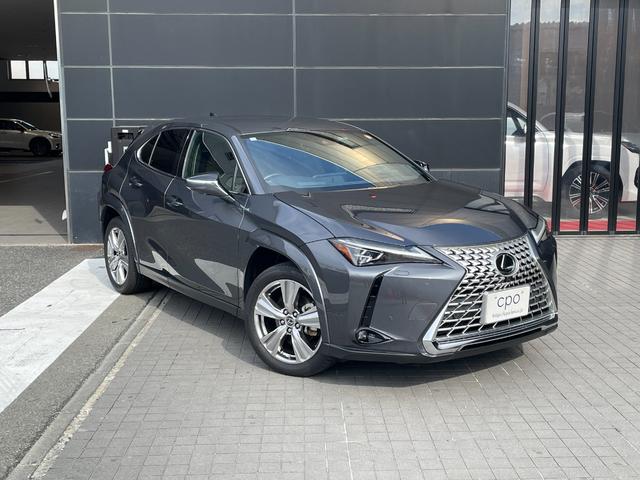 ＵＸ ＵＸ２５０ｈ　グレイスフル　エクスプローラー（6枚目）