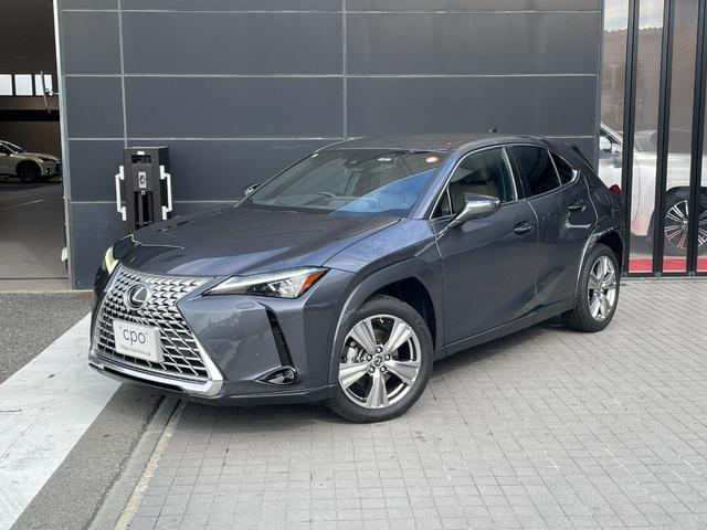 ＵＸ ＵＸ２５０ｈ　グレイスフル　エクスプローラー（7枚目）