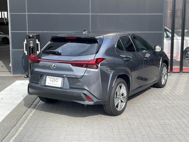 ＵＸ ＵＸ２５０ｈ　グレイスフル　エクスプローラー（8枚目）