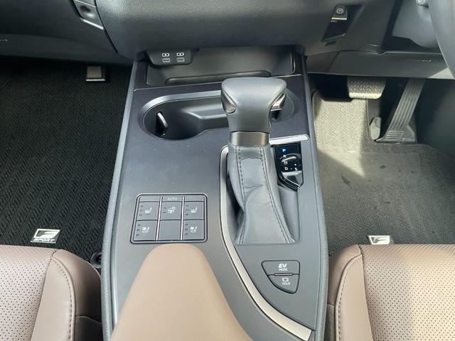 ＵＸ ＵＸ２５０ｈ　グレイスフル　エクスプローラー（11枚目）