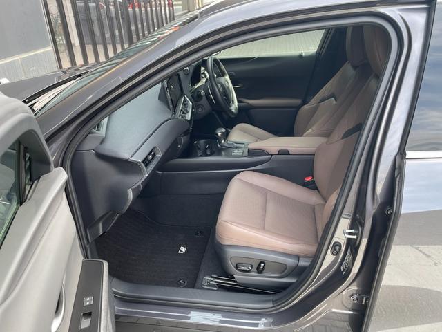 ＵＸ ＵＸ２５０ｈ　グレイスフル　エクスプローラー（12枚目）