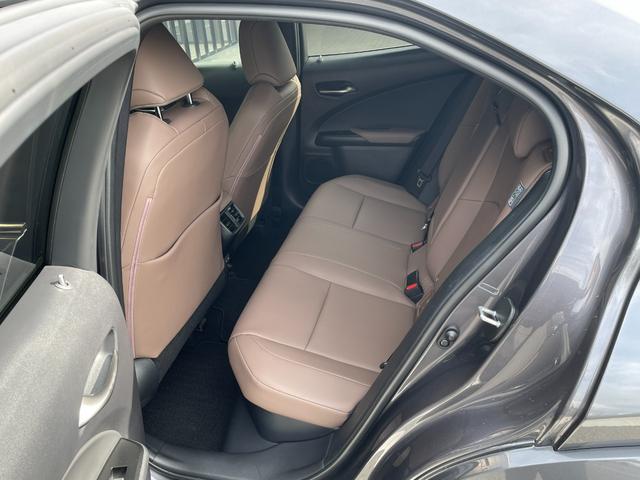 ＵＸ ＵＸ２５０ｈ　グレイスフル　エクスプローラー（13枚目）