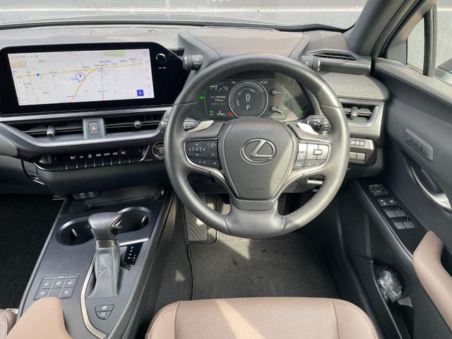 ＵＸ ＵＸ２５０ｈ　グレイスフル　エクスプローラー（14枚目）