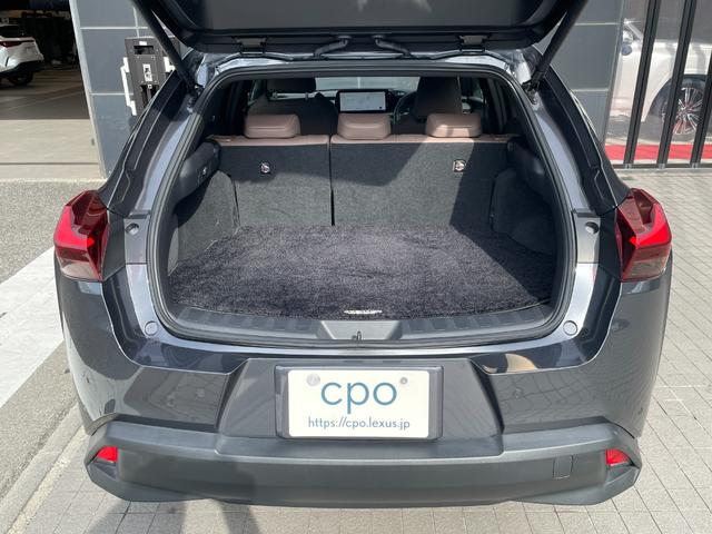 ＵＸ ＵＸ２５０ｈ　グレイスフル　エクスプローラー（15枚目）