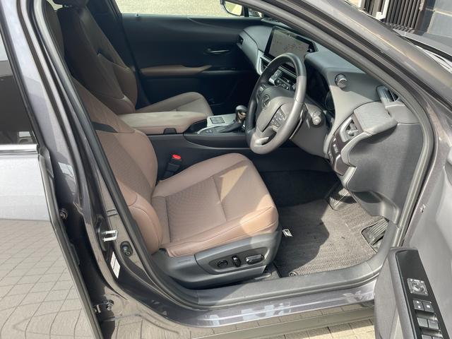 ＵＸ ＵＸ２５０ｈ　グレイスフル　エクスプローラー（16枚目）