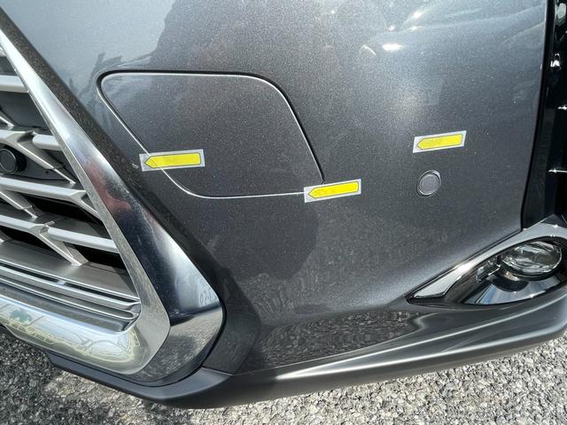 ＵＸ ＵＸ２５０ｈ　グレイスフル　エクスプローラー（18枚目）