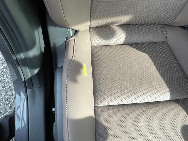 ＵＸ ＵＸ２５０ｈ　グレイスフル　エクスプローラー（21枚目）