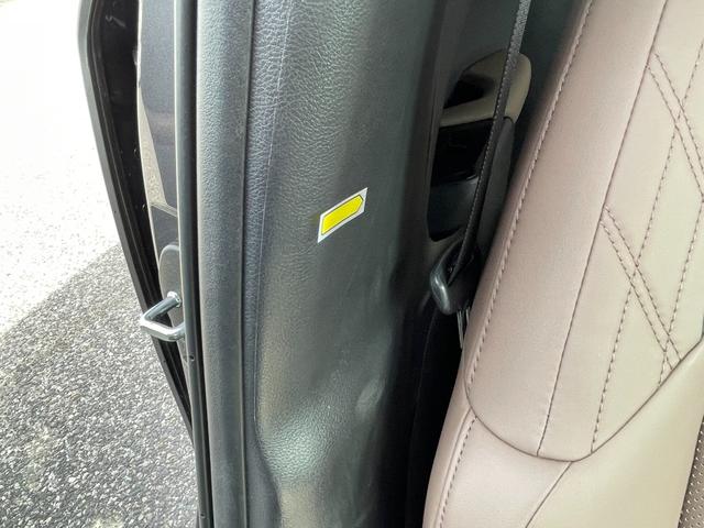 ＵＸ ＵＸ２５０ｈ　グレイスフル　エクスプローラー（22枚目）