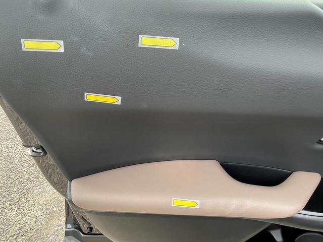 ＵＸ ＵＸ２５０ｈ　グレイスフル　エクスプローラー（24枚目）