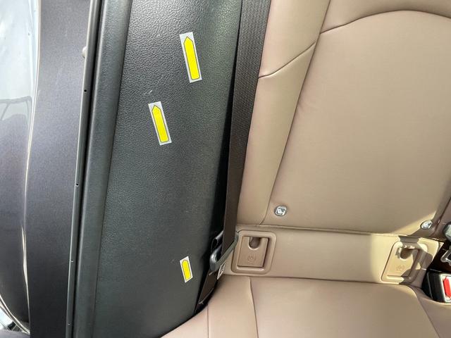 ＵＸ ＵＸ２５０ｈ　グレイスフル　エクスプローラー（26枚目）