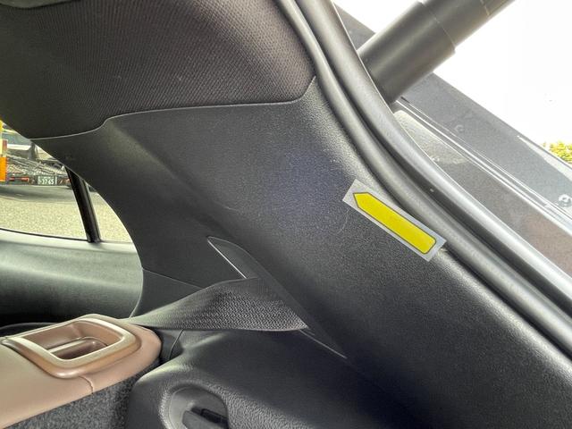 ＵＸ ＵＸ２５０ｈ　グレイスフル　エクスプローラー（27枚目）