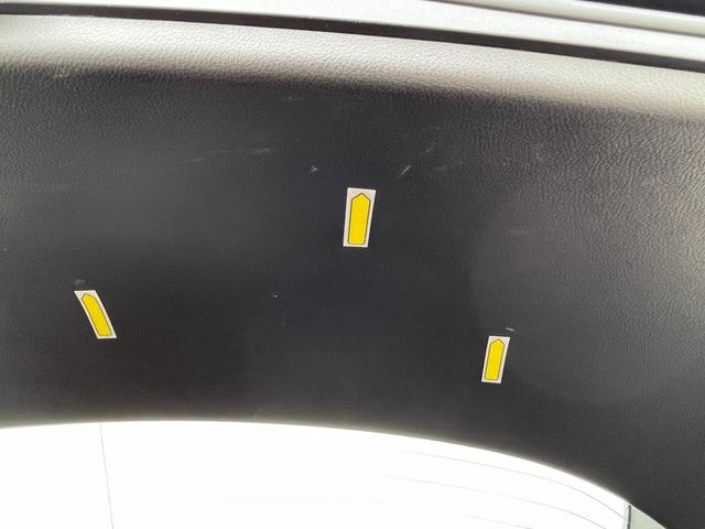 ＵＸ ＵＸ２５０ｈ　グレイスフル　エクスプローラー（29枚目）