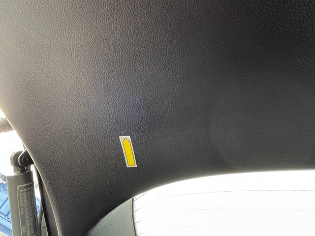 ＵＸ ＵＸ２５０ｈ　グレイスフル　エクスプローラー（30枚目）