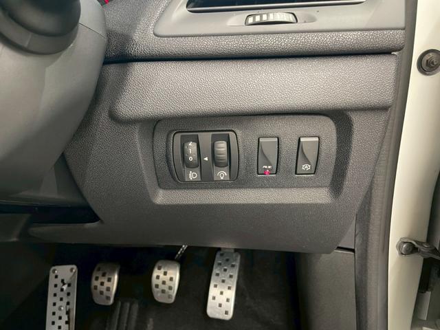 メガーヌ ルノー スポール(24枚目)