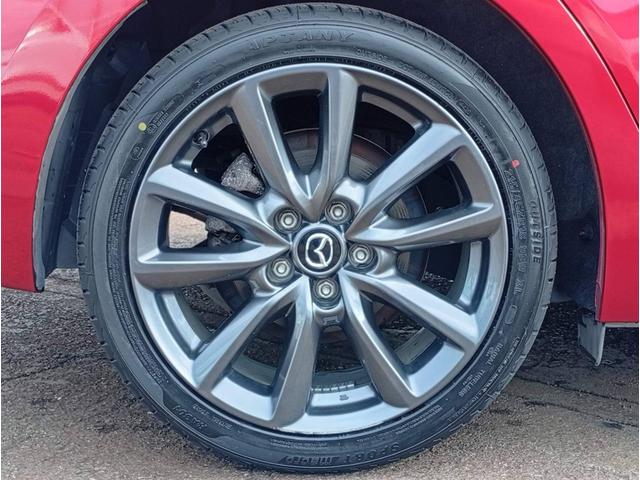 �^�C���͊C�O���ł����V�i��g�݂܂�����