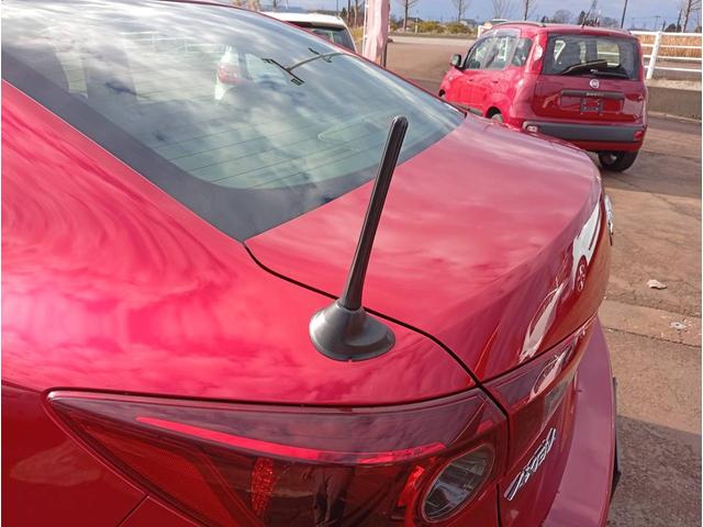 ���A�|�[�����O���Ă��Ԏ헬�p�̃A���e�i��t���܂����I