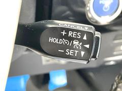 �ڥ졼�������롼������ȥ�����۹�®ƻϩ�Ǥ�Ĺ��Υ���Ԥ��ڤˡ�����ư��®�٤��ݤĥ��롼������ȥ����뤬�����ͷڸ������ƥ��Ϣ�Ȥ��������μ�ξ���Τ��Ƽִ֤��ݤĤ褦��®��Ĵ�ᤷ�Ƥ���ޤ����� 7