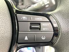 �ڥ����ץƥ��֥��롼������ȥ�����۹�®ƻϩ�Ǥ�Ĺ��Υ���Ԥ��ڤˡ�����ư��®�٤��ݤĥ��롼������ȥ����뤬�����ͷڸ������ƥ��Ϣ�Ȥ��������μ�ξ���Τ��Ƽִ֤��ݤĤ褦��®��Ĵ�ᤷ�Ƥ���ޤ����� 4